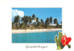 France Guadeloupe Plage De Ste Anne - Other & Unclassified