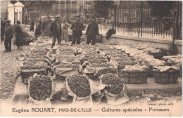 FR66 PERPIGNAN - ROUART Eugène Barcarès - Cultures Spéciales Primeurs - Jour De Marché - Comportes De Raisins - Port Barcares