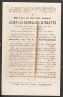 Wommelgem, Wommelghem, 1915, Josephus Wygaerts, - Images Religieuses