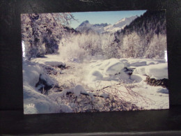 404 . LE TORRENT DES NEIGES .  PAYSAGE - Sonstige & Ohne Zuordnung