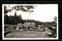 AK Arnisäge B. Biglen, Gasthaus Waldeck  - Wald