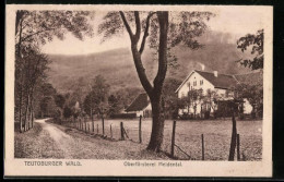 AK Heidental /Teutoburger Wald, Oberförsterei Heidental  - Sonstige & Ohne Zuordnung