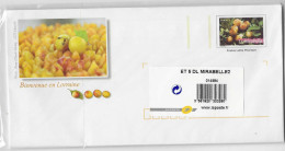 Lot De 5 Pap Sous Blister - La Mirabelle - Bienvenue En Lorraine - Fruits - Prunes - Prêts-à-poster: Other (1995-...)