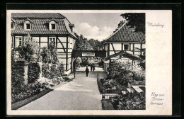 AK Meinberg, Weg Zur Rosenterrasse  - Bad Meinberg