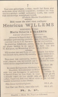Haacht, 1941, Henricus Willems, Bogaerts - Devotion Images