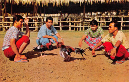 THAÏLANDE - Cock Fighting In Up-country - One Kind Of Local Custom Playing - Combat De Coqs - Thailand