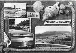 SALUTI DA MARINA DI CARRARA - MASSA - 4 VEDUTE - CONCHIGLIA / CONCHIGLIE / SHELL - 1958 - Massa