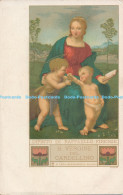R177268 Dipinto Di Raffaello Firneze. B. Vergine Del Cardellino - Monde