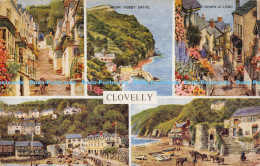 R174969 Clovelly. Salmon. Water Colour. Multi View - Monde