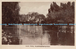 R176513 Duck Pond. Alexandersfontein. H - Monde