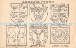 R176520 Peterborough Cathedral. W. H. H. Lord. Multi View - Monde