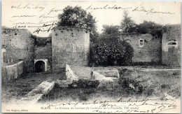 33 BLAYE  Carte Postale Ancienne [REF / 59190] - Sonstige & Ohne Zuordnung