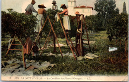 06 TYPES DE PROVENCE Carte Postale Ancienne /REF -VP0297 - Autres & Non Classés