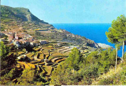 Bañalbufar - Majorque - Cultures En Terrasse - Mallorca