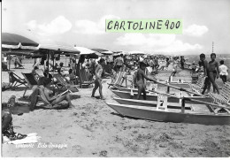 Abruzzo-teramo-tortoreto Lido Spiaggia Animatissima Bella Veduta Spiaggia Ombrelloni Bagnanti Salvagente Pattini Sdraio - Other & Unclassified