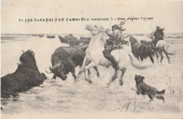 Les Taureaux En Camargue - Autres & Non Classés