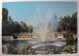 FRANCE - MEURTHE ET MOSELLE - NANCY - Parc De La Pépinière - Nancy