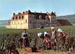 21 CHATEAU DU CLOS VOUGEOT COTE D OR - Autres & Non Classés