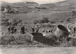 69 SCENE DE VENDANGES EN BEAUJPLAIS - Autres & Non Classés