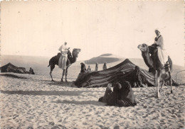 ALGERIE CAMPEMENT DE - Autres & Non Classés