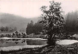 88 PLOMBIERES LES BAINS - Plombieres Les Bains