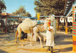 TUNISIE LA MARSA - Tunisie