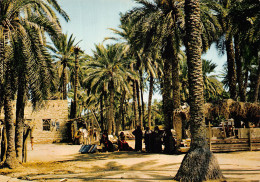 TUNISIE GABES - Tunisie