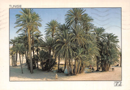 TUNISIE SAHARA - Tunesien