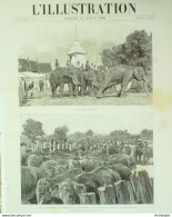 L'illustration 1896 N°2791 Siam Kraal éléphants Bateau Rouleur Bazin Mali Tombouctou Dienné - 1850 - 1899