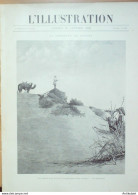 L'illustration 1900 N°2970 Chine Kuang-Tcheou Sahara Timassanine Afrique-Sud Transvaal Magersfontein - 1850 - 1899