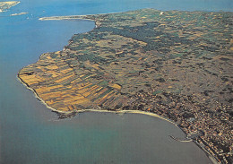 17 L ILE DE RE SABLONVEAUX RIVEDOUX - Ile De Ré