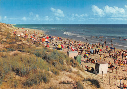 17 L ILE DE RE LE BOIS PLAGE - Ile De Ré