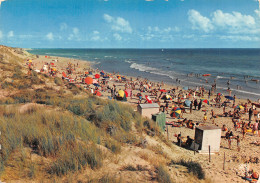 17 L ILE DE RE LE BOIS PLAGE - Ile De Ré