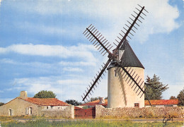 17 L ILE DE RE MOULIN DU MORINAND - Ile De Ré