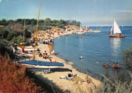 17 L ILE DE RE LA PLAGE DE TROUSSE - Ile De Ré