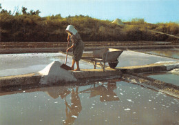 17 L ILE DE RE MARAIS SALANTS - Ile De Ré