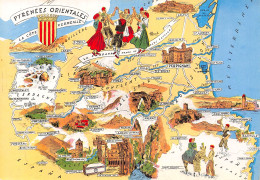 66 PYRENEES ORIENTALES - Otros & Sin Clasificación