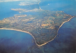 17 L ILE DE RE LA POINTE DES BALEINES - Ile De Ré