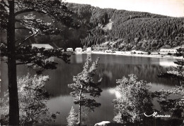 88 LES HAUTES VOSGES LE LAC NOIR - Other & Unclassified