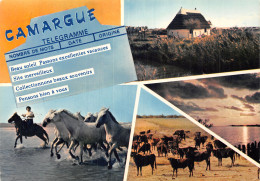 13 LES GARDIANS EN CAMARGUE - Sonstige & Ohne Zuordnung