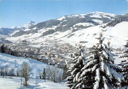 74 MEGEVE - Megève