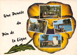 83 FREJUS DOMAINE DU PIN DE LA LEGUE - Frejus