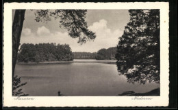 AK Niedersee /Masuren, Partie Am Niedersee  - Ostpreussen