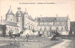 85 FONTENAY LE COMTE CHÂTEAU DE TERRE NEUVE - Fontenay Le Comte