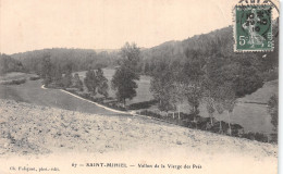 55 SAINT MIHIEL VALLON DE LA VIERGE - Carnac