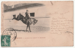 49 . Saumur . Sauteur En Liberté . Croupade . Cheval .  1908 - Saumur
