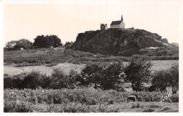 22 ILE DE BREHAT CHAPELLE SAINT MICHEL 2768 - Ile De Bréhat