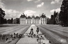 41 CHEVERNY LE CHÂTEAU 12719 - Cheverny