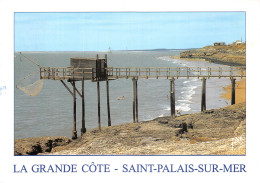 17 SAINT PALAIS SUR MER - Saint-Palais-sur-Mer