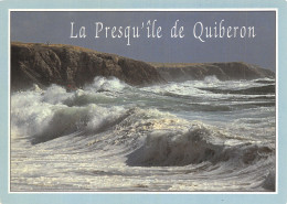 56 QUIBERON - Quiberon